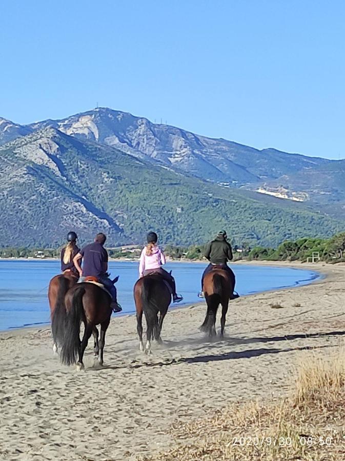 Seaside Glow Σχοινιάς Εξωτερικό φωτογραφία